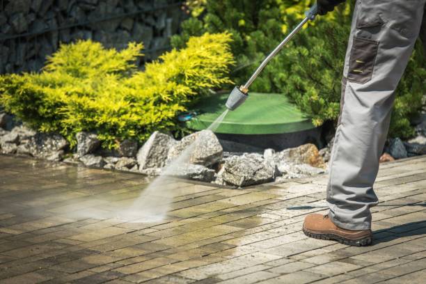 Best Boat and Dock Cleaning  in Pimlico, SC