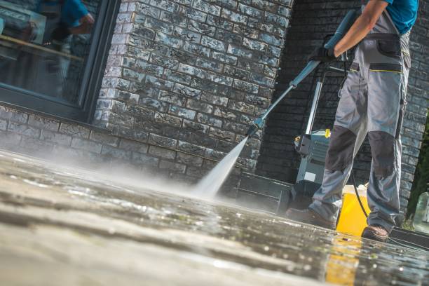 Best Animal Enclosure Cleaning  in Pimlico, SC