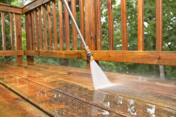 Best Building Exterior Washing  in Pimlico, SC